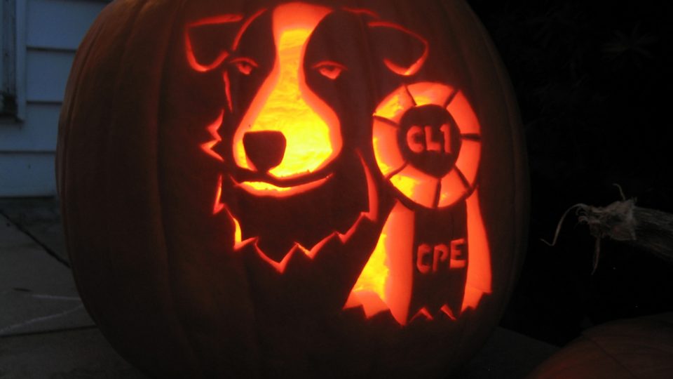 Dog pumpkin