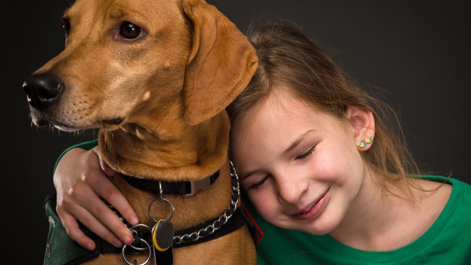 Dog leans on dog - service dogs teaching kids to read