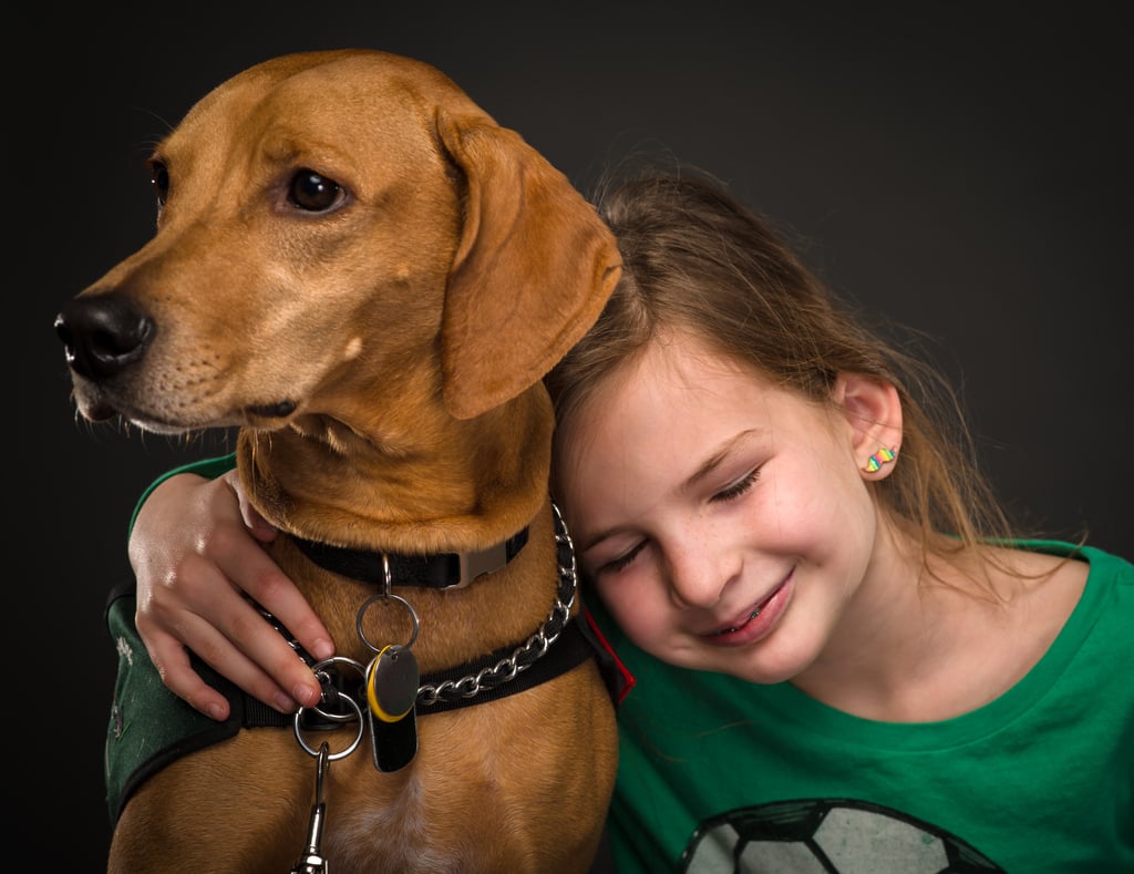 learn how to service dogs how service dogs help learn to read rover learn how to service dogs how service dogs help learn to read rover
