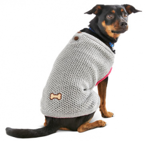 Petco dog outfit - fall fashion for dogs