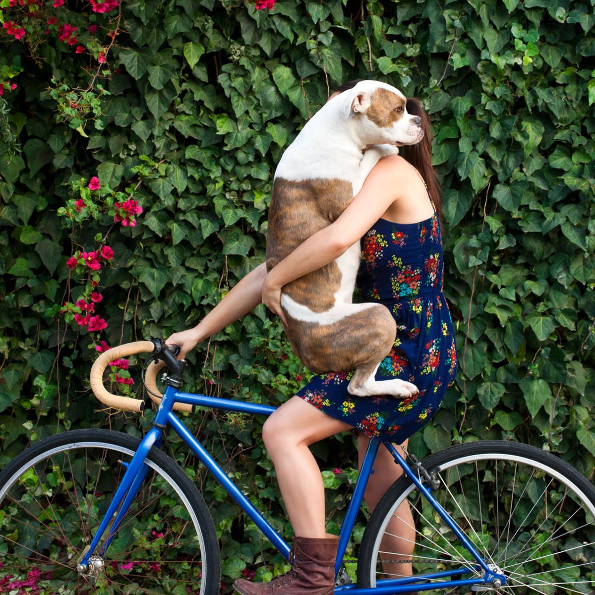 Puka on a bike