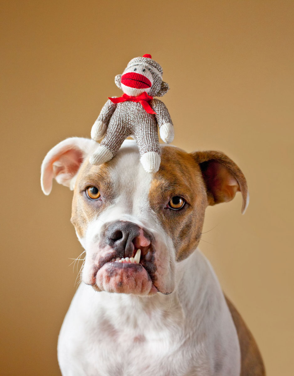 Puka with a monkey on her head