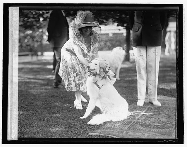 Grace Coolidge with white Collie, Prudence Prim, wearing an Easter bonnet