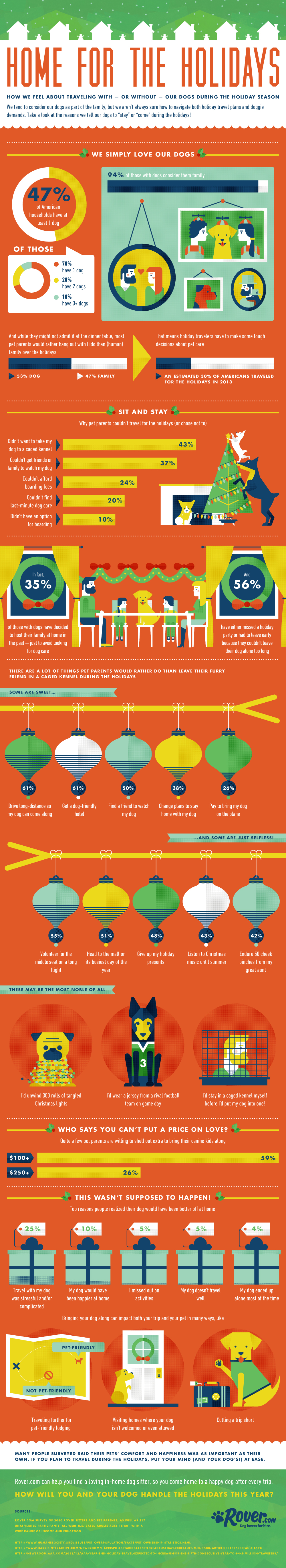 Rover holiday travel infographic