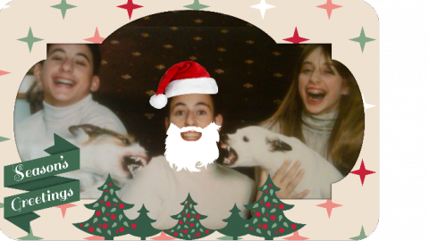 Dog christmas cards