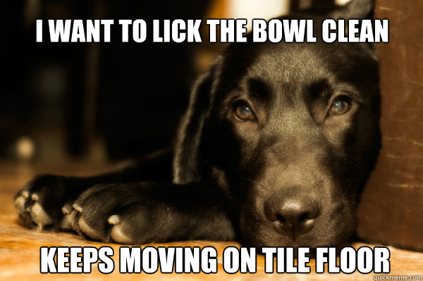 first world dog problems bowl