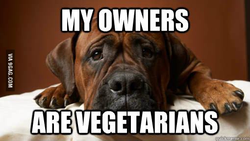 first world dog problems
