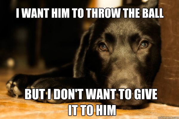 first world dog problems