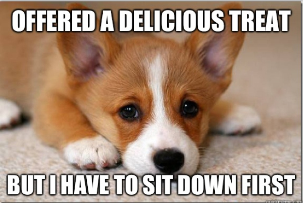 first world dog problems