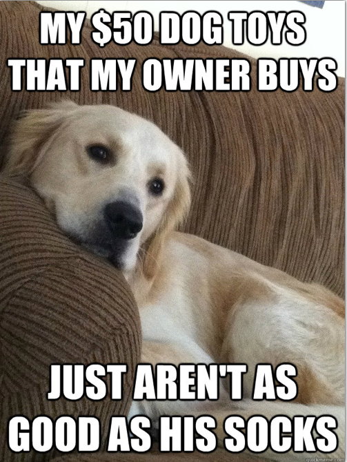 first world dog problems meme2014-11-22 at 9.14.12 AM 7