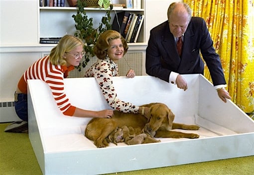 President ford, his wife Betty, and daughter Susan with Liberty and puppies