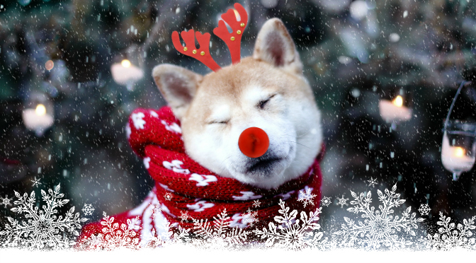 akita rudolph snow