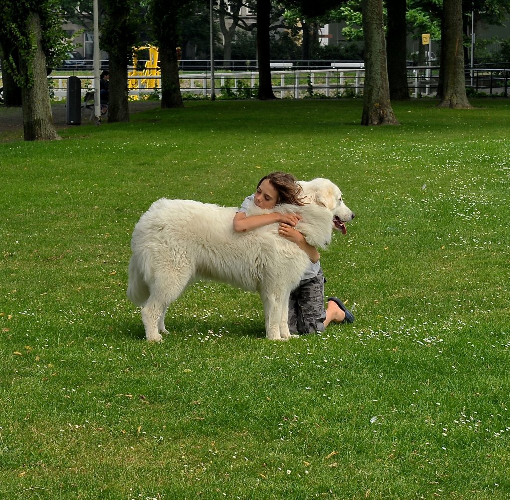 Dog and parent hugging