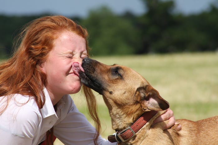 Dog kiss - the truth about dogs and disease