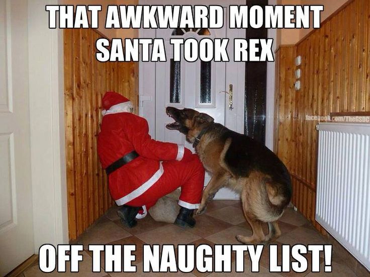 santa's naughty or nice list