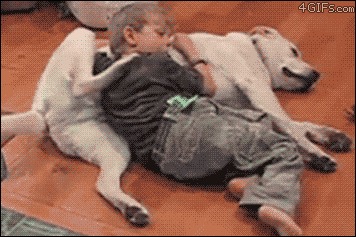 scritch-reciprocation-dog.gif