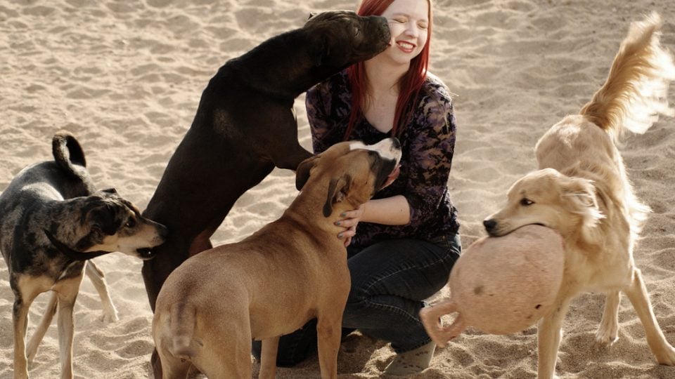 how to bond with your puppy how to bond with a rescue rover how to bond with your puppy how to bond with a rescue rover