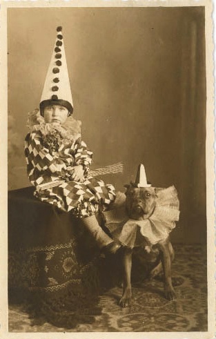 funny vintage dog photography clowns