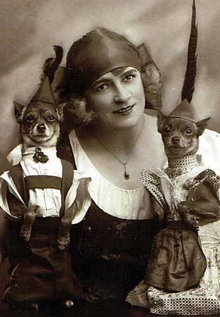 funny vintage dog photography lederhosen
