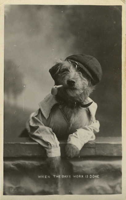 funny vintage dog photography pipe smoker