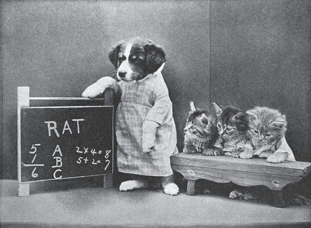 funny vintage dog photography school days
