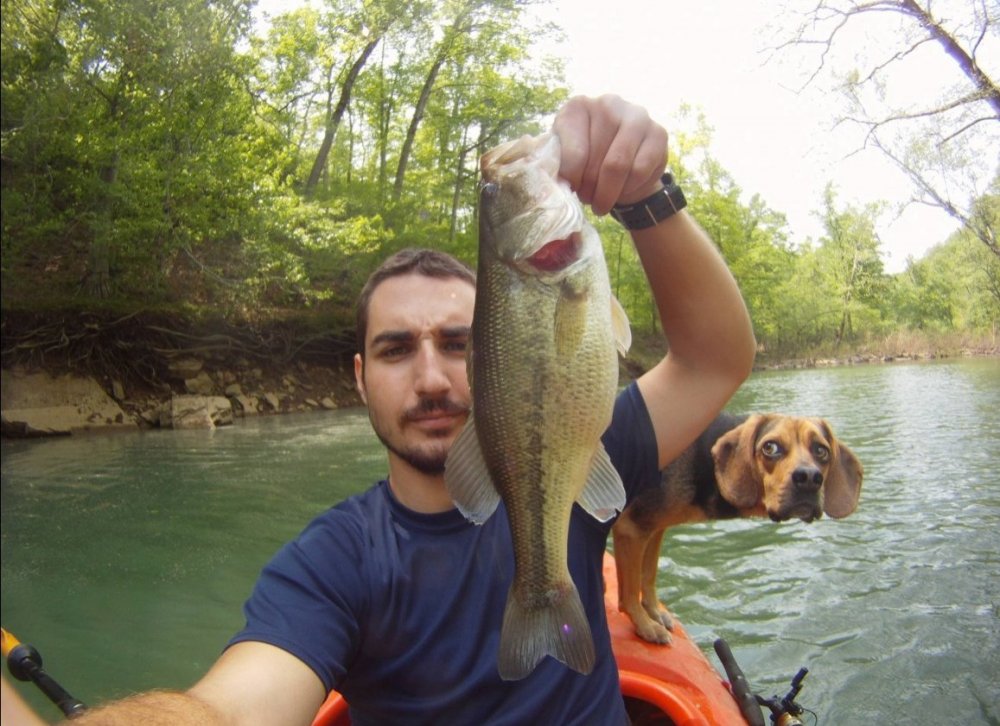 dog fish photobomb