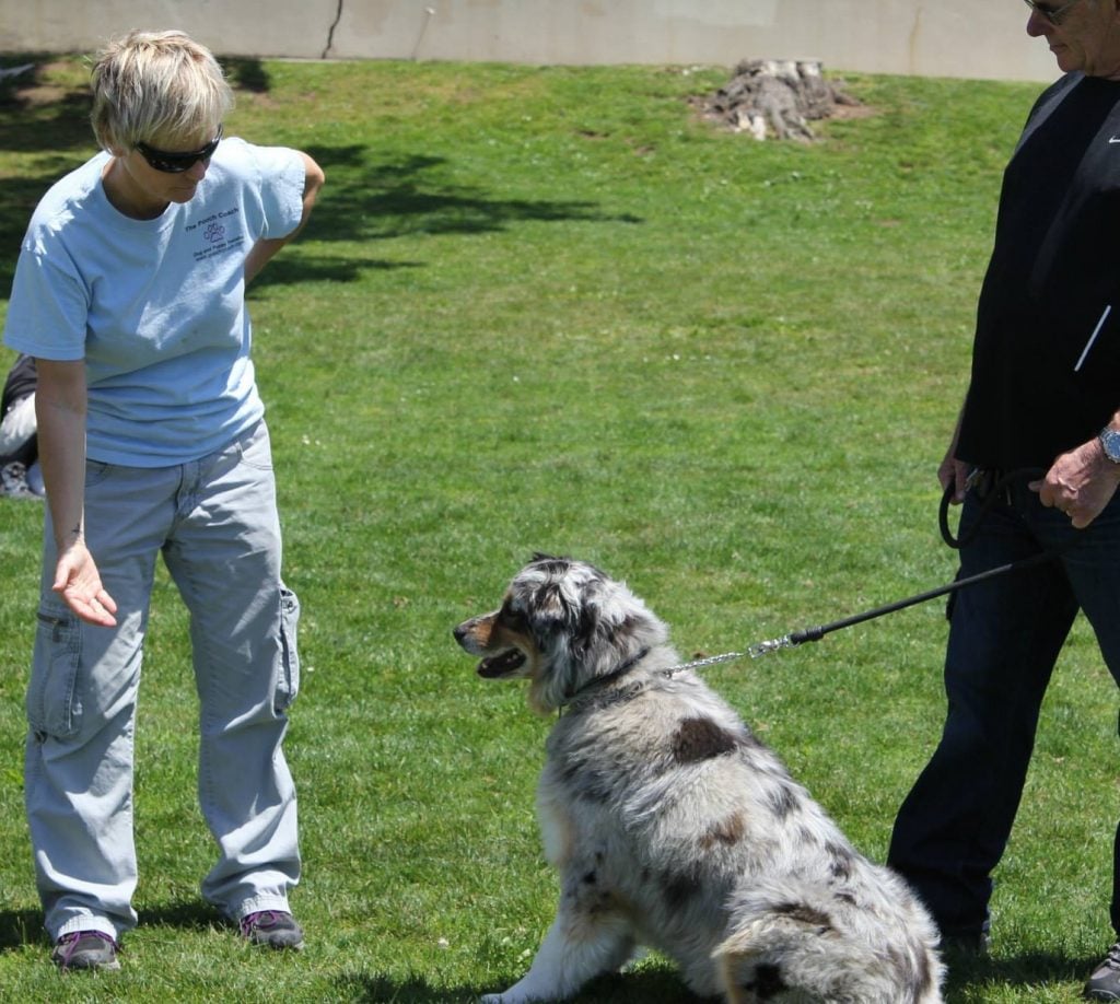 Dog behaviorist Beverly Ulbrich says training is the most important step you can take to make sure your dog is comfortable when you have to leave him. Photo courtesy of the Pooch Coach.