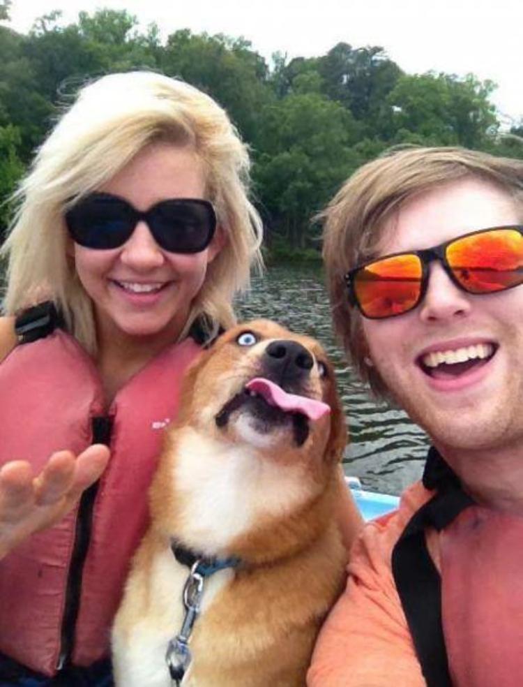 selfie photobomb dog boat