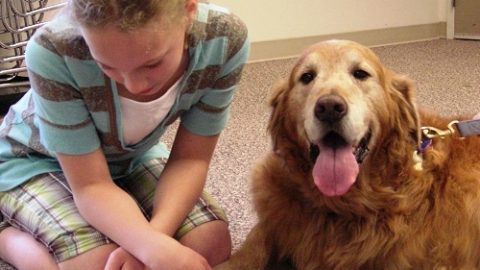 Dog and girl read book