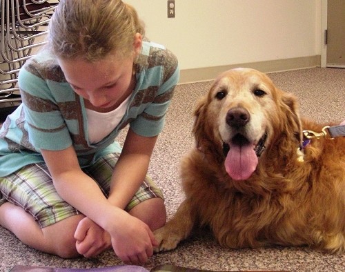 children s books about dogs top 10 children s books about dogs rover children s books about dogs top 10 children s books about dogs rover