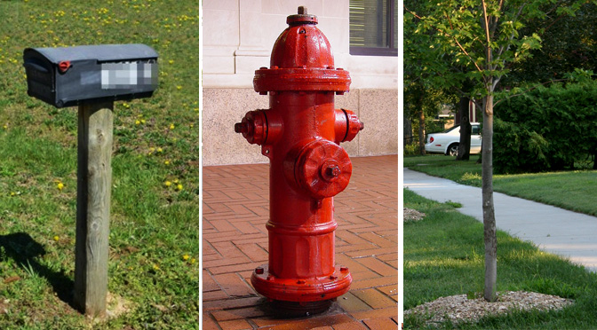 mailbox fire hydrant tree