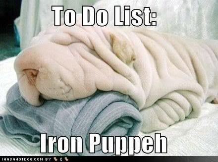 shar pei dog wrinkle meme