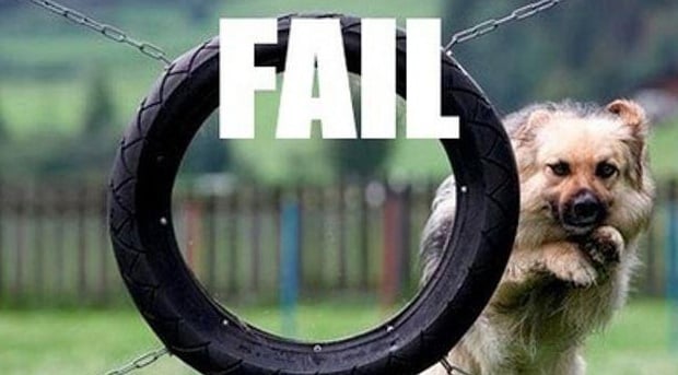 Image result for dog fail