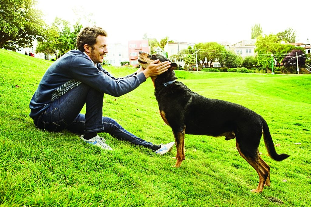 7 Reasons To Become A Pet Sitter Rover Blog