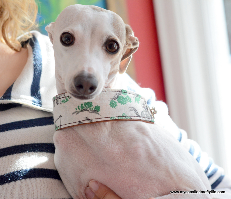 Diy Hardware Store Dog Collar Diy Hardware Store Dog Collar
