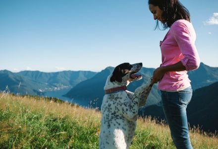 dog and woman happy holding hands dog sitter