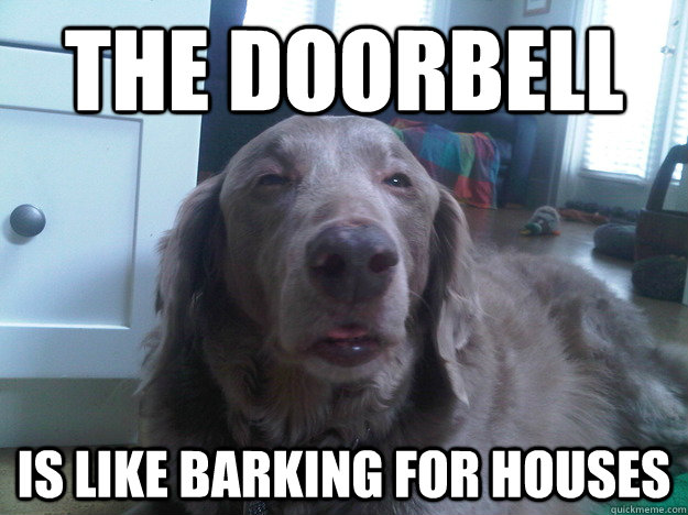 doorbell stoner dog deep thoughts