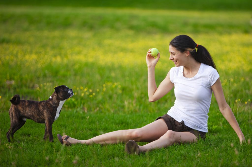 Four Tips for Providing Excellent Customer Service The Dog People by