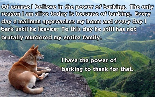 the power of barking dog philosophy