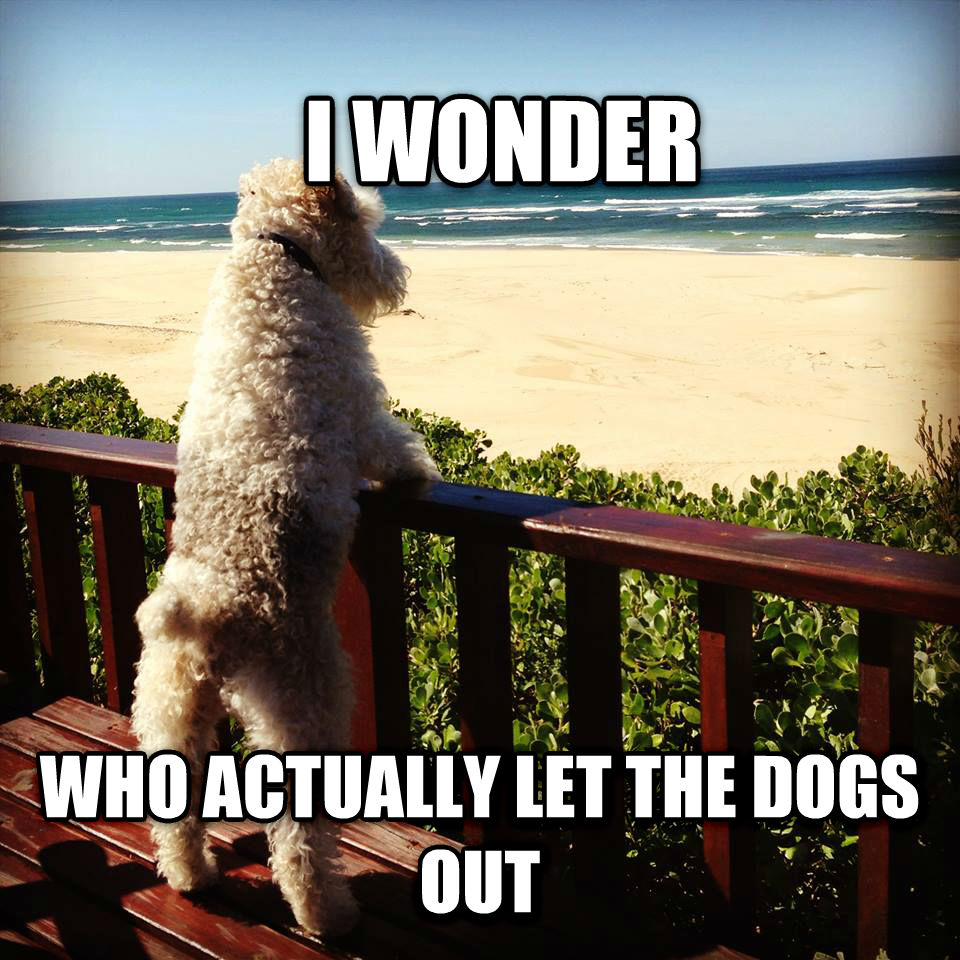 who let the dogs out philosophical pup