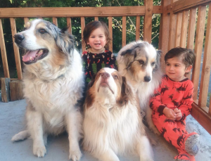 Many people now consider pets as part of the family and pet industry spending is booming as a result. Photo courtesy of Marisa Rings.