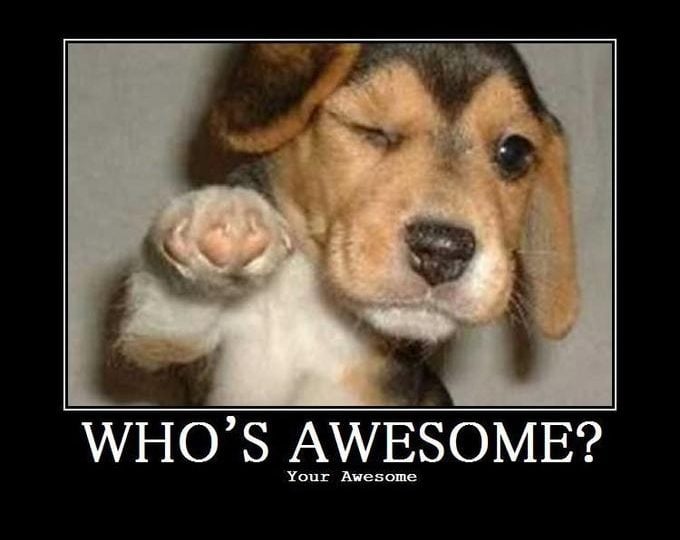 http://knowyourmeme.com/photos/66552-whos-awesome-youre-awesome-sos-groso-sabelo