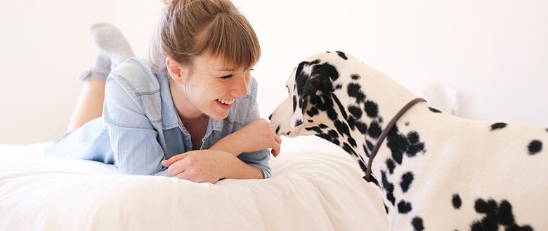How To Start A Pet Sitter Dog Walker Business In 30 Days Dog Walking Business Pet Sitters Dog Sitting Business