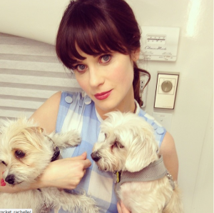 Instagram/zooeydeschanel