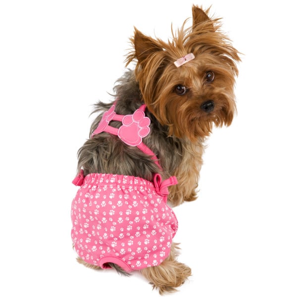 precedent wedstrijd Empirisch 10 Hilarious Dogs in Bathing Suits Because, Summer | The Dog People by  Rover.com
