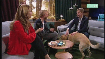 http://giphy.com/gifs/dog-talkshow-humps-P7Lt6GTUp17Q4