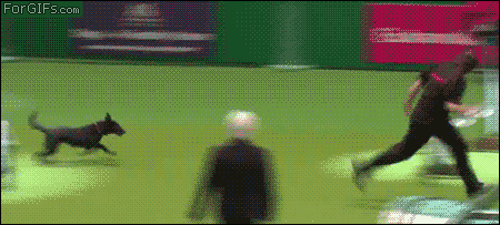 http://giphy.com/gifs/fail-OpPLIgJYbdPBS