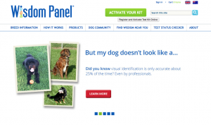 Wisdom Panel is one of the most popular DNA tests. The company says owner guesses about their dog's lineage are only accurate 25% of the time.