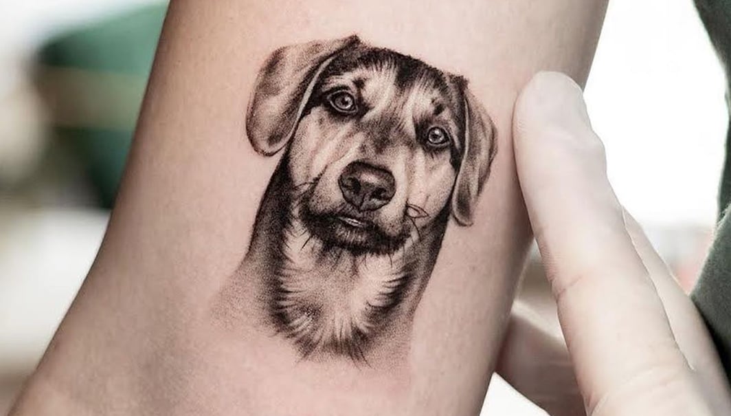 Dog tattoo images