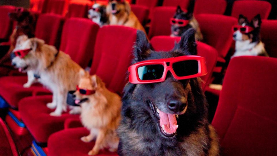 7 Feel-Good Dog Movies You Can Stream on Netflix | The Dog People by  